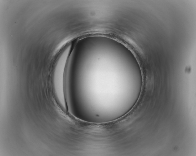 X0000091451450200709061724