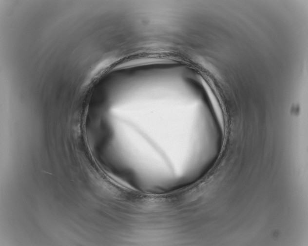 X0000091451451200709061724