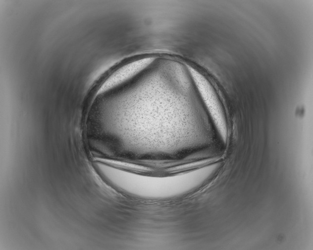 X0000091451452200709061724