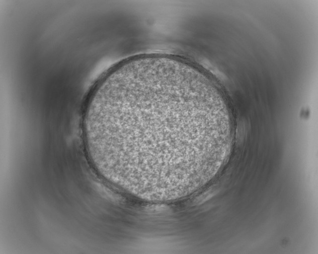 X0000091451454200709061724