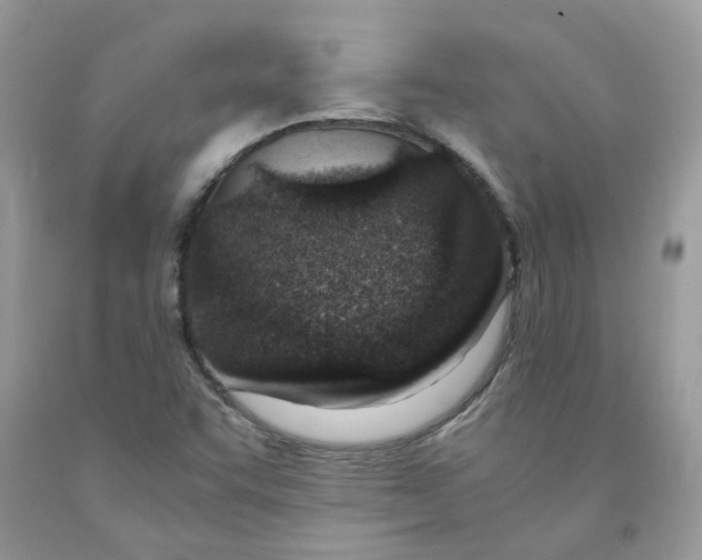 X0000091451455200709061724