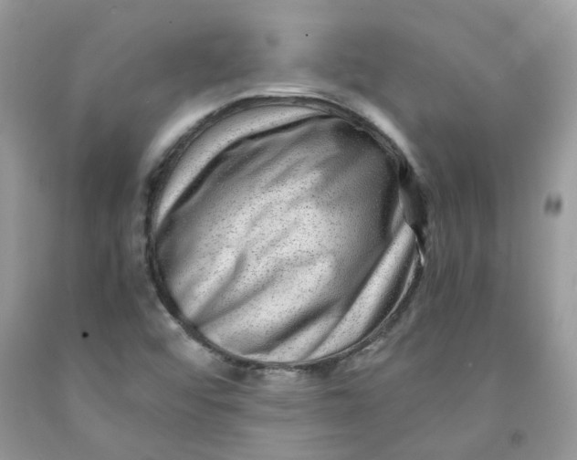 X0000091451456200709061724