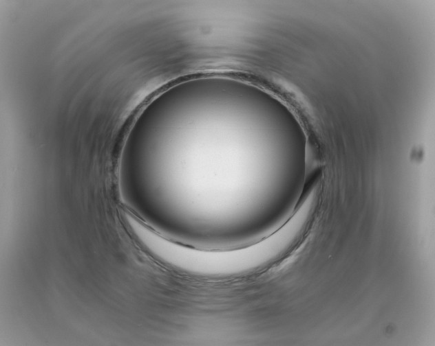 X0000091451457200709061724