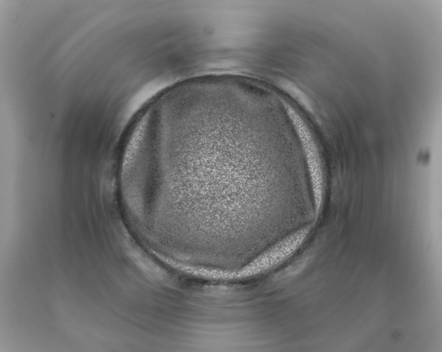 X0000091451458200709061724