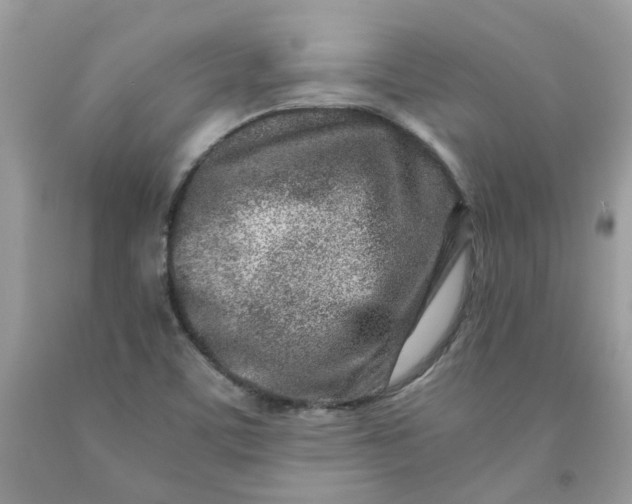 X0000091451459200709061724