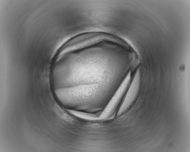 X0000091451460200709061724