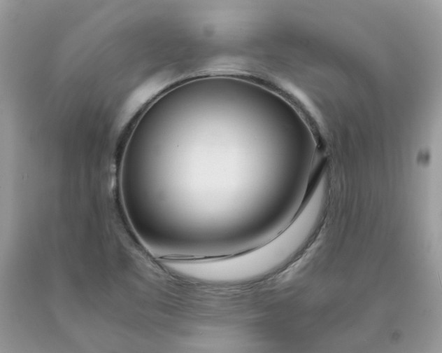 X0000091451461200709061724