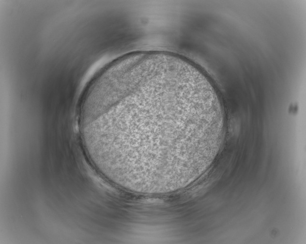 X0000091451462200709061724