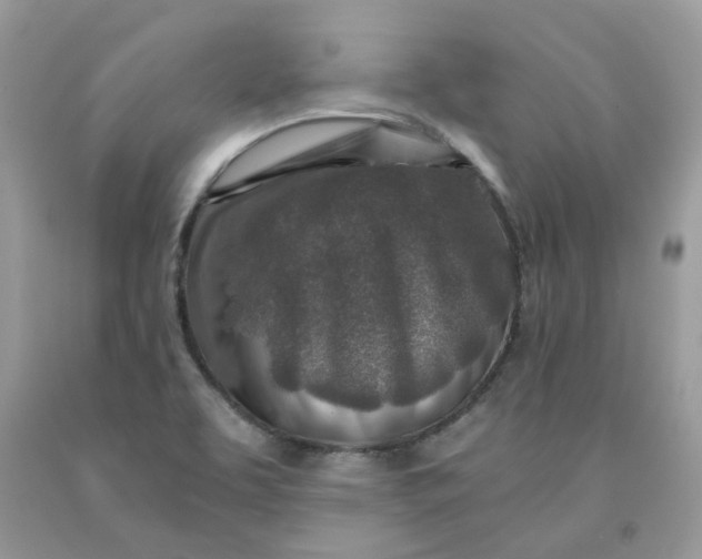 X0000091451463200709061724