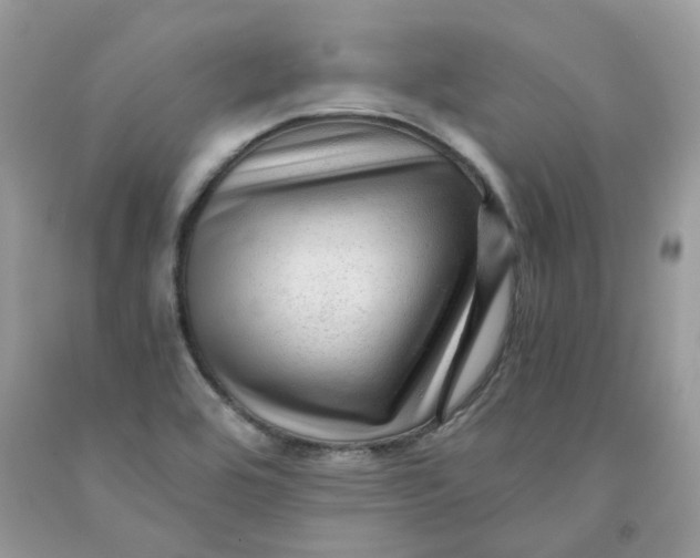 X0000091451464200709061724