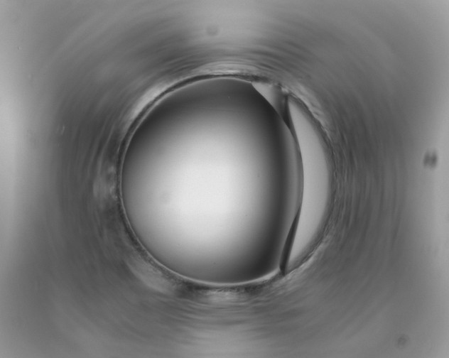 X0000091451465200709061724