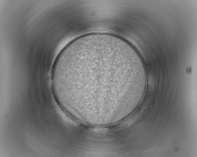 X0000091451466200709061724