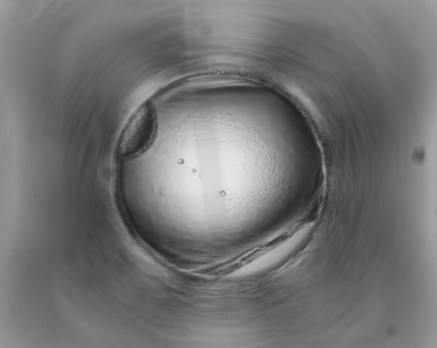 X0000091451467200709061724