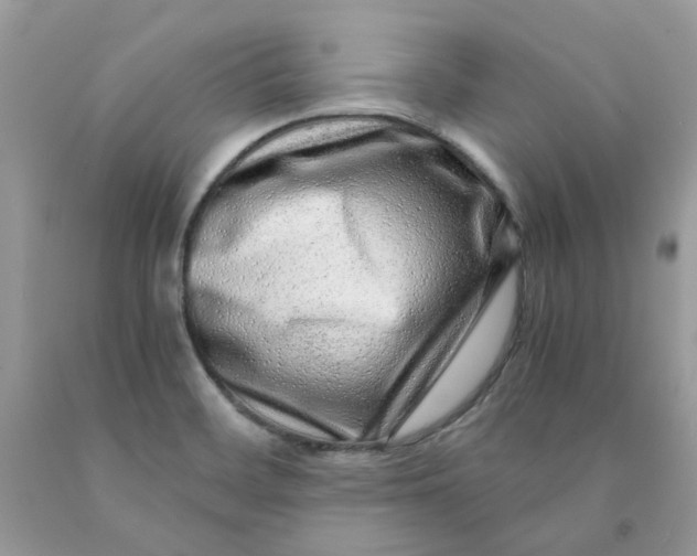 X0000091451468200709061724