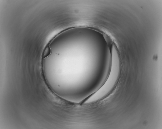 X0000091451469200709061724