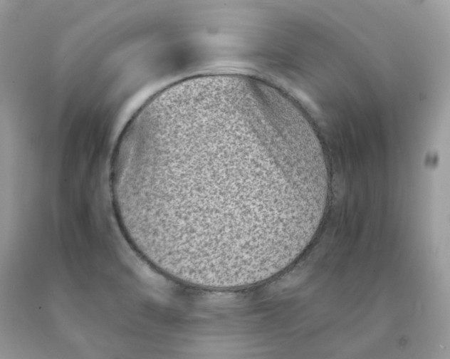 X0000091451470200709061724