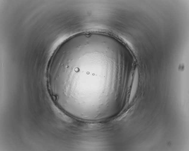 X0000091451471200709061724