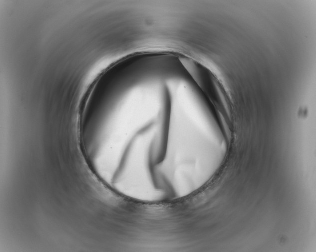 X0000091451472200709061724