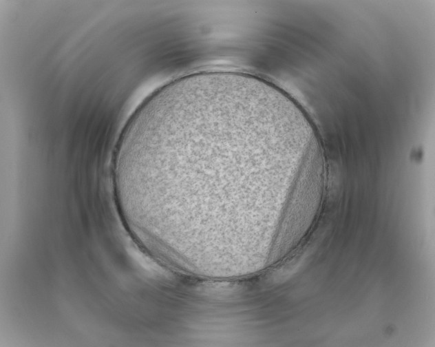 X0000091451474200709061724