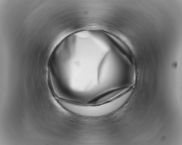 X0000091451476200709061724