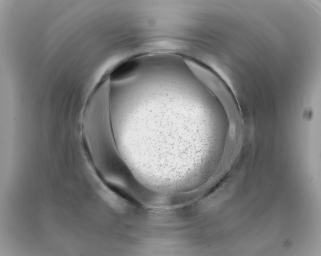 X0000091451477200709061724