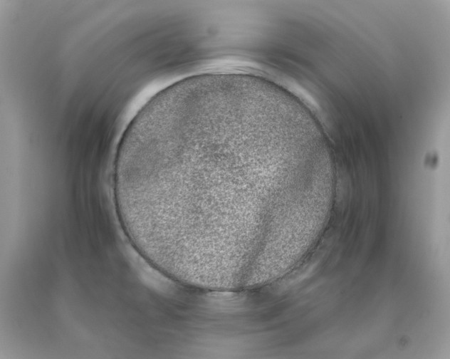 X0000091451478200709061724