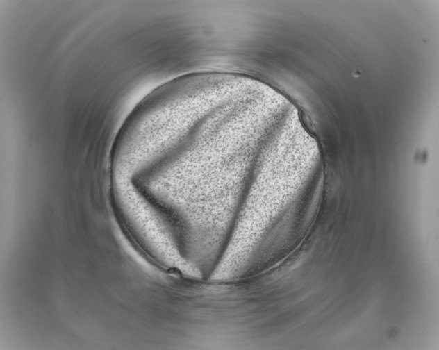 X0000091451479200709061724