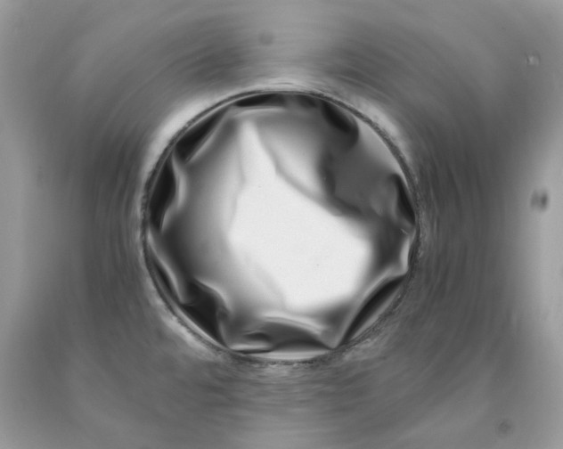 X0000091451480200709061724