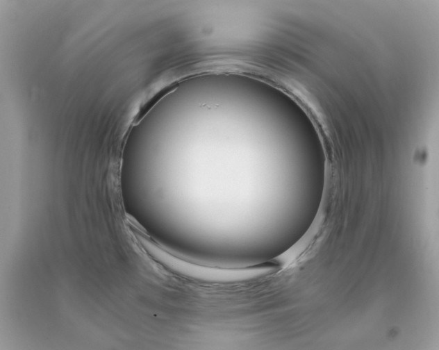 X0000091451481200709061724