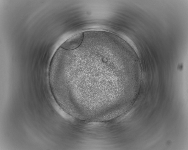 X0000091451482200709061724