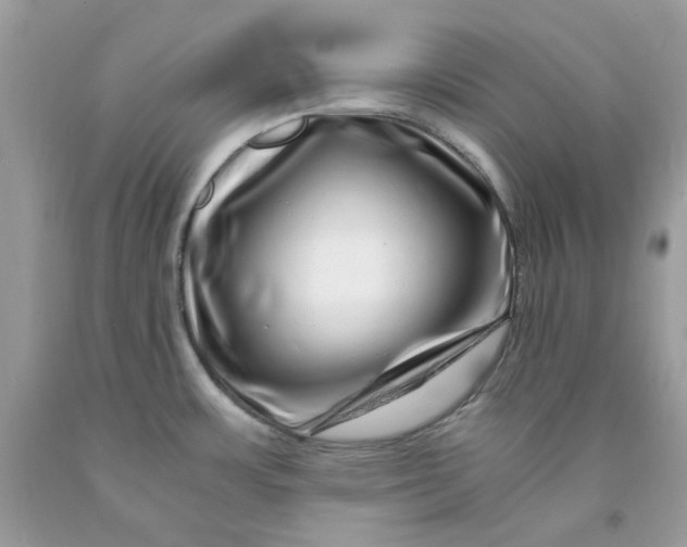 X0000091451483200709061724