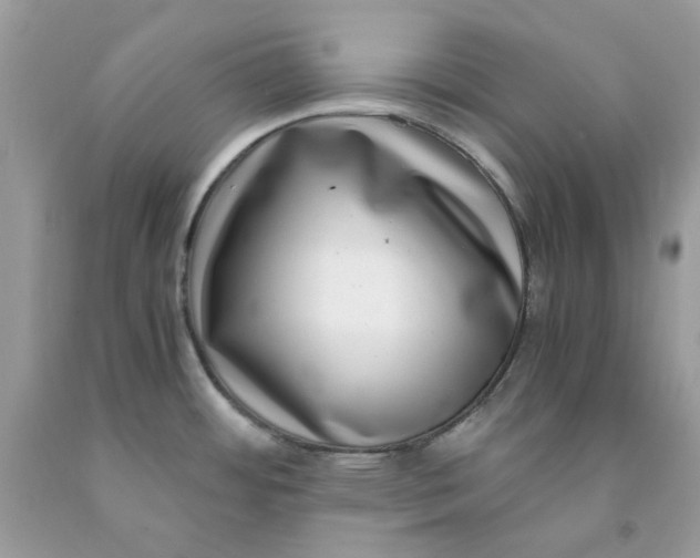 X0000091451484200709061724