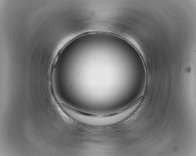 X0000091451485200709061724