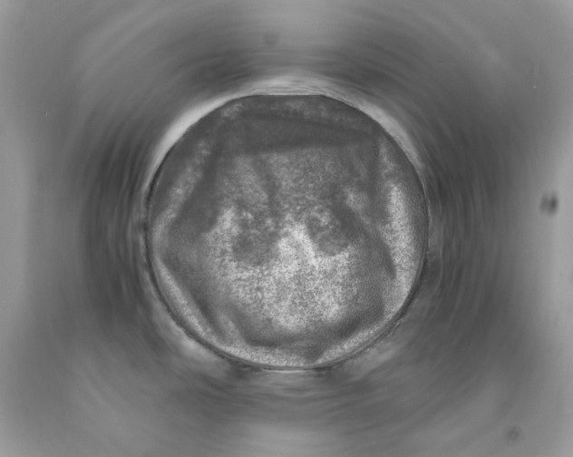 X0000091451486200709061724