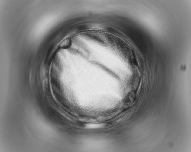 X0000091451487200709061724