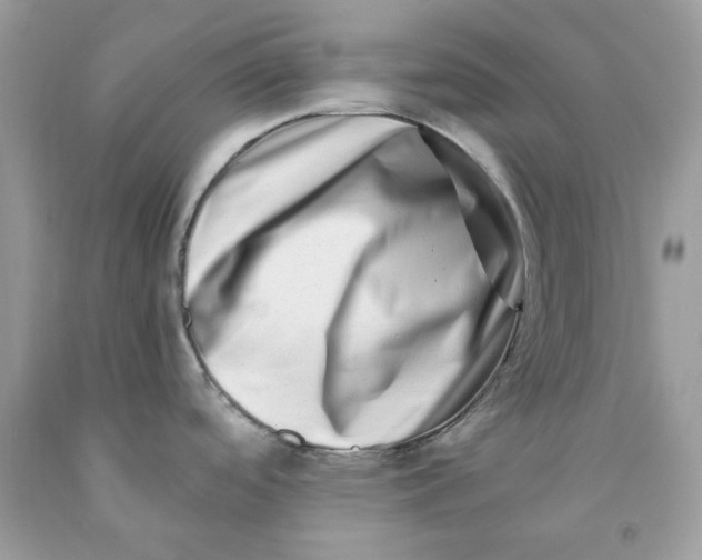 X0000091451488200709061724