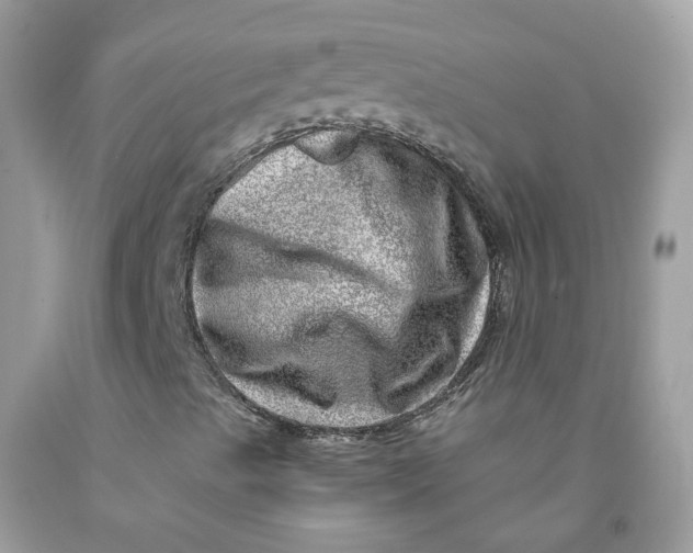 X0000091451489200709061723