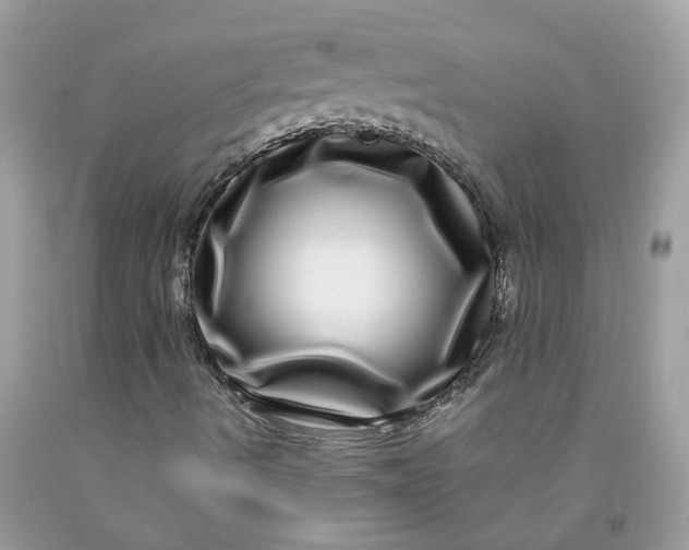 X0000091451490200709061723