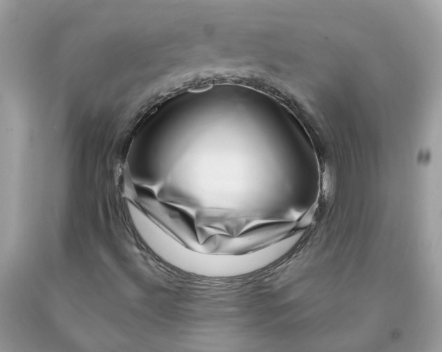 X0000091451492200709061723