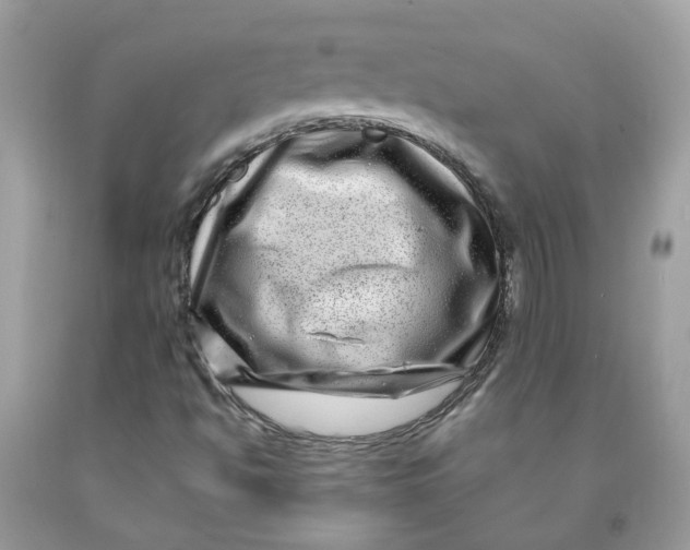 X0000091451494200709061723