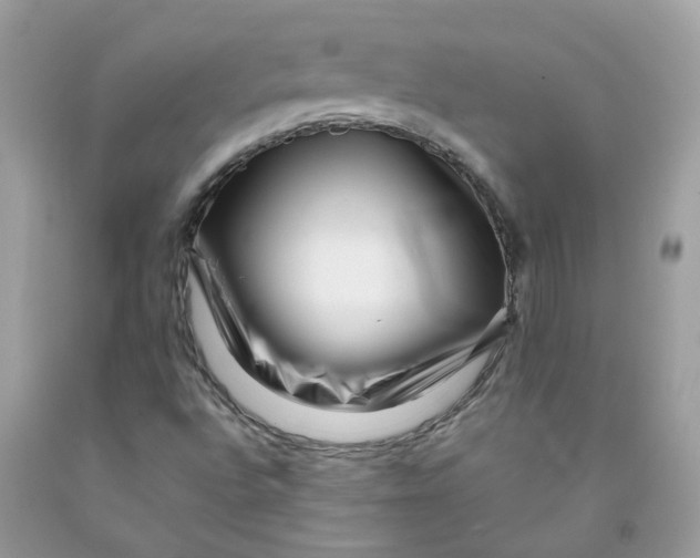 X0000091451496200709061723