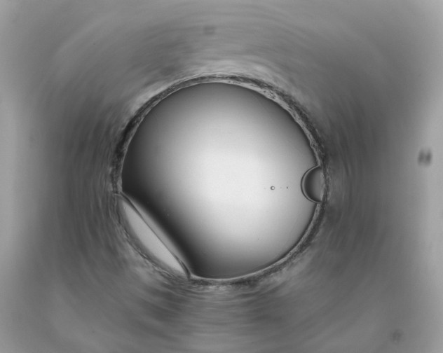 X0000091451497200709061723