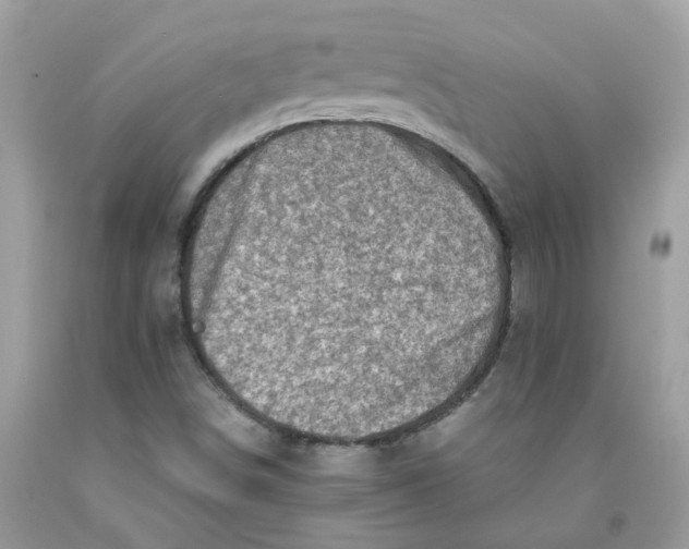 X0000091451498200709061723