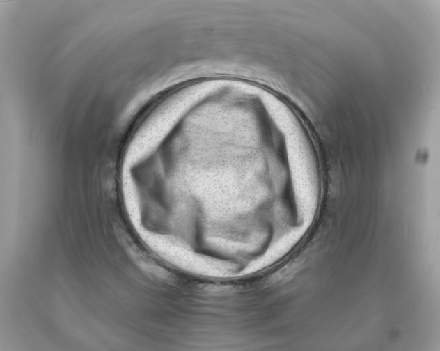 X0000091451499200709061723