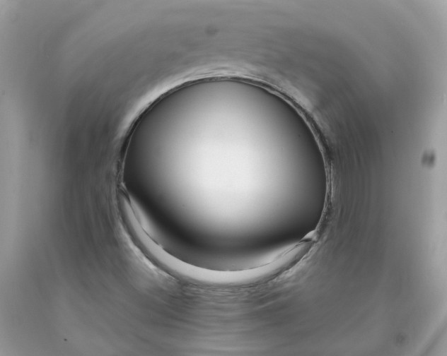 X0000091451500200709061723