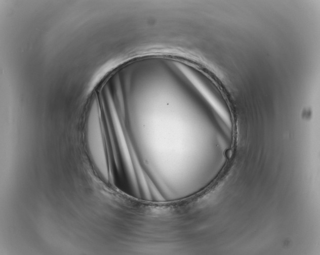 X0000091451501200709061723