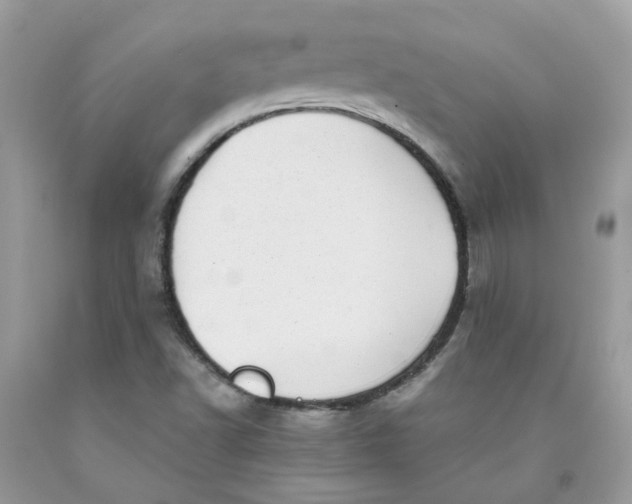 X0000091451502200709061723