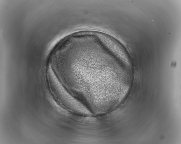 X0000091451503200709061723