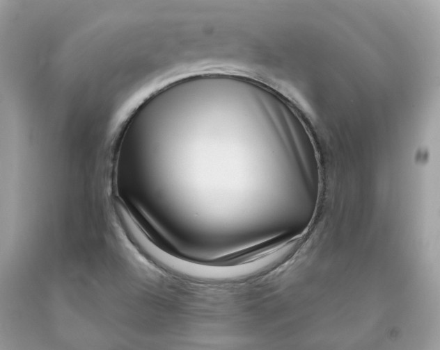 X0000091451504200709061723