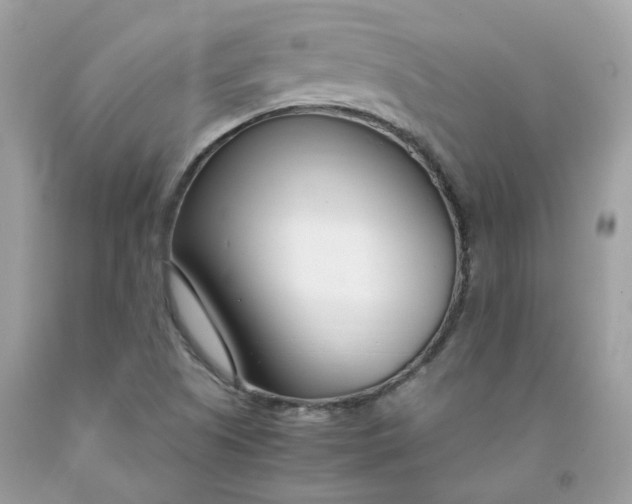 X0000091451505200709061723